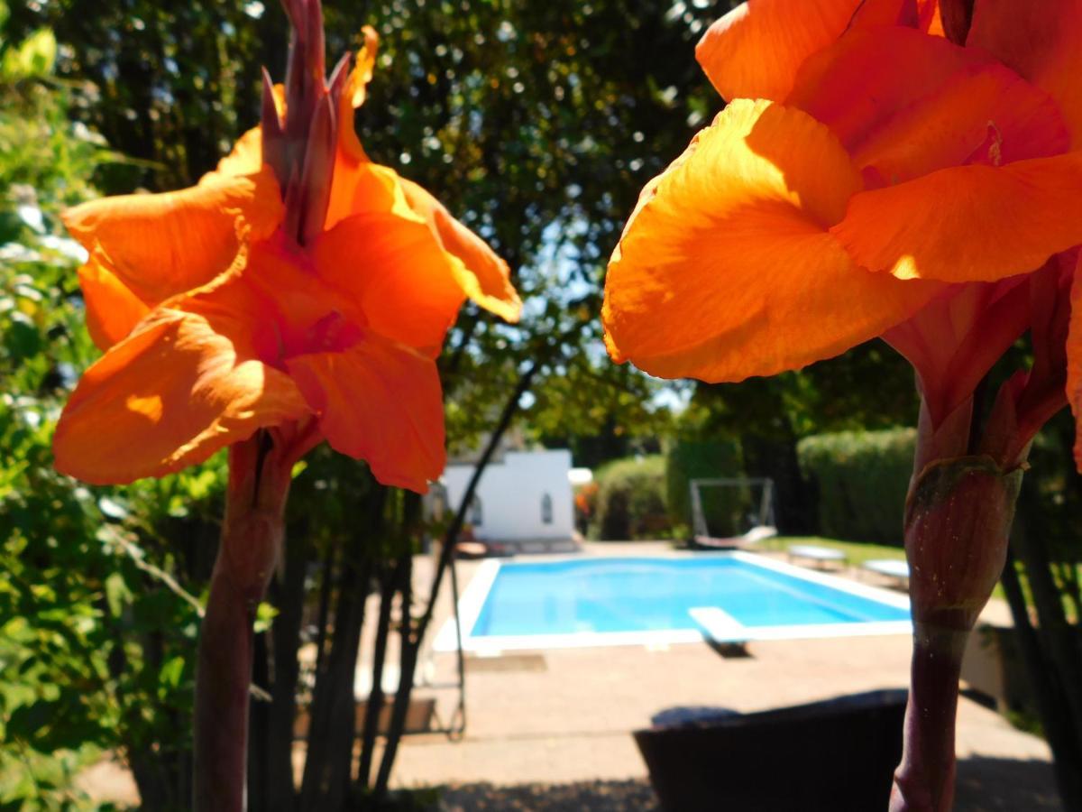 Appartamento Con Piscina Immersa Nel Verde Cascina Ngoại thất bức ảnh