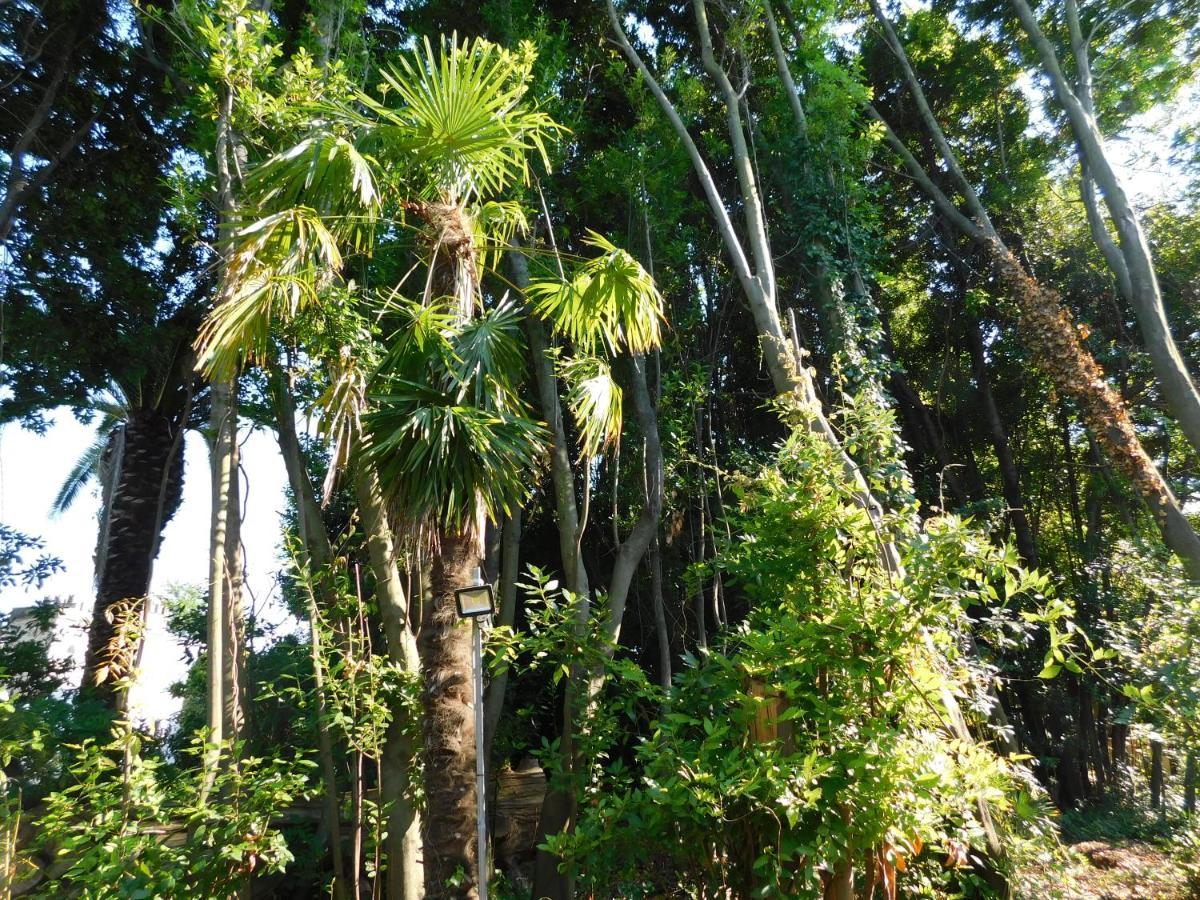 Appartamento Con Piscina Immersa Nel Verde Cascina Ngoại thất bức ảnh